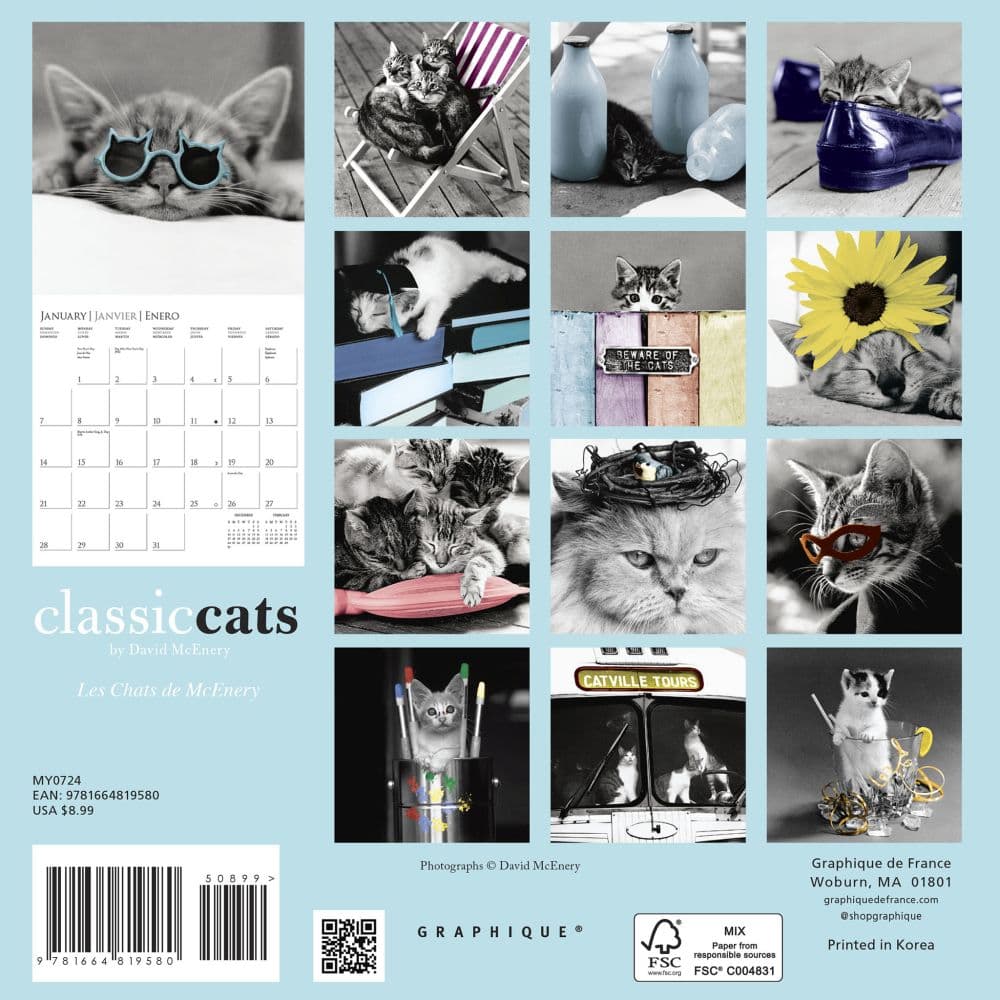 Classic Cats 2024 Mini Wall Calendar