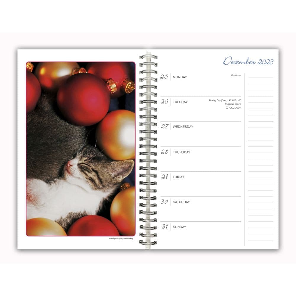 Cat Naps 2024 Planner Third Alternate Image width=&quot;1000&quot; height=&quot;1000&quot;