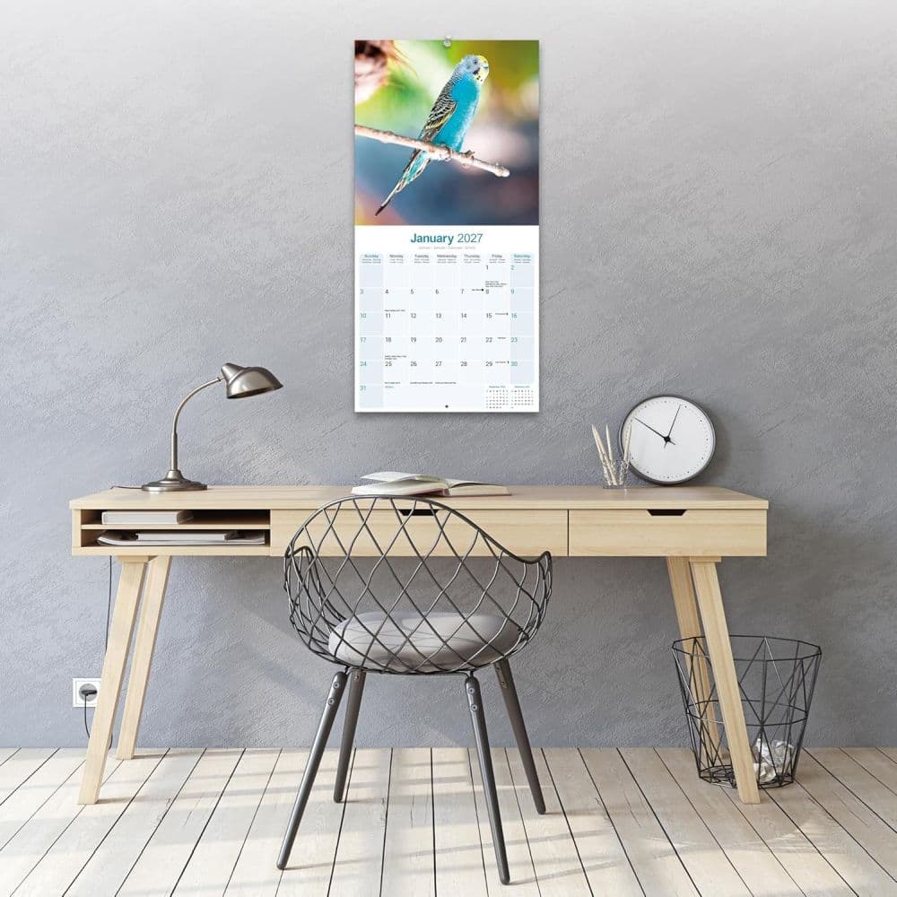 Budgerigar 2027 Wall Calendar Third Alternate Image