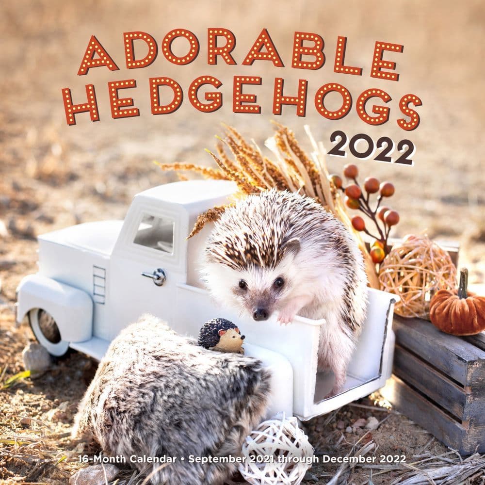 Hedgehogs 2022 Wall Calendar