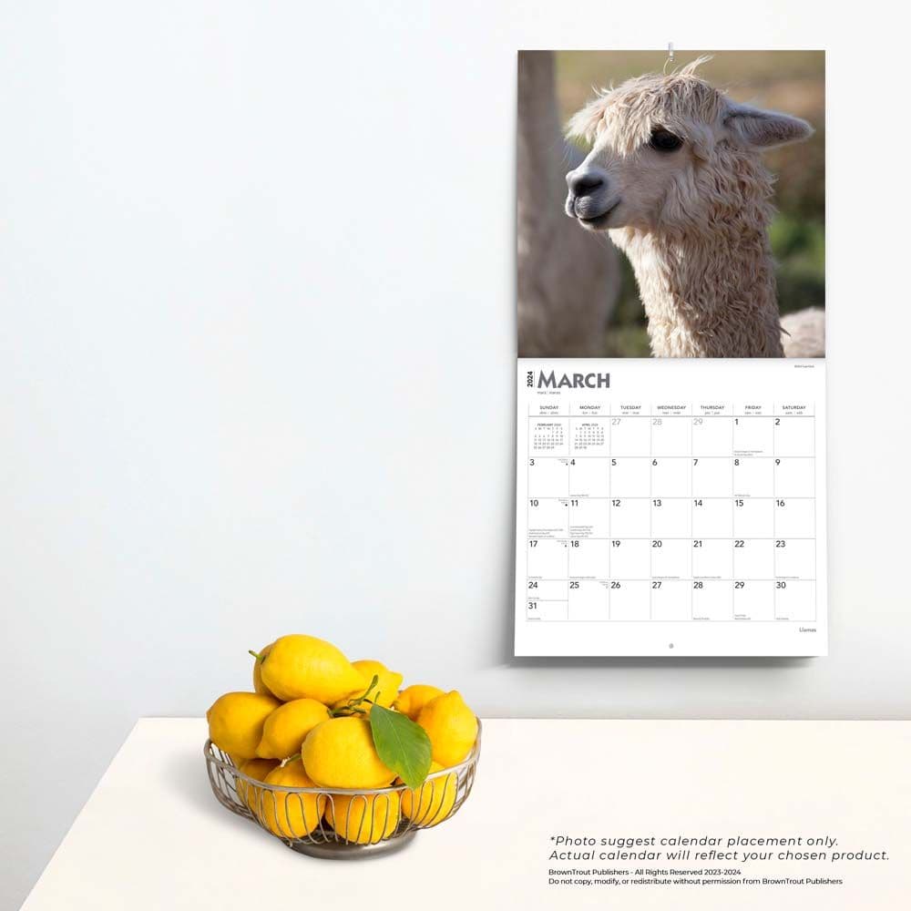 Llamas 2024 Wall Calendar