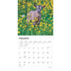 image Baby Goats 2025 Wall Calendar