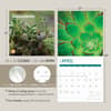 image Succulents 2025 Wall Calendar Seventh Alternate Image