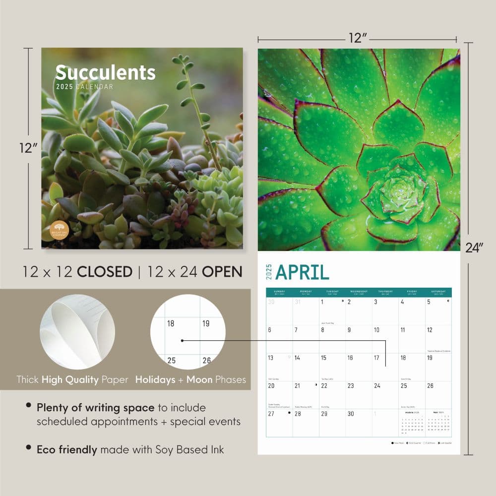 Succulents 2025 Wall Calendar Seventh Alternate Image