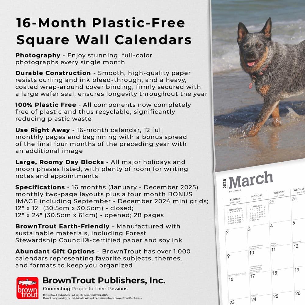 Australian Cattle Dogs 2025 Wall Calendar Fourth Alternate Image width=&quot;1000&quot; height=&quot;1000&quot;