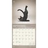 image Yoga Kittens Plato 2025 Wall Calendar Third Alternate Image