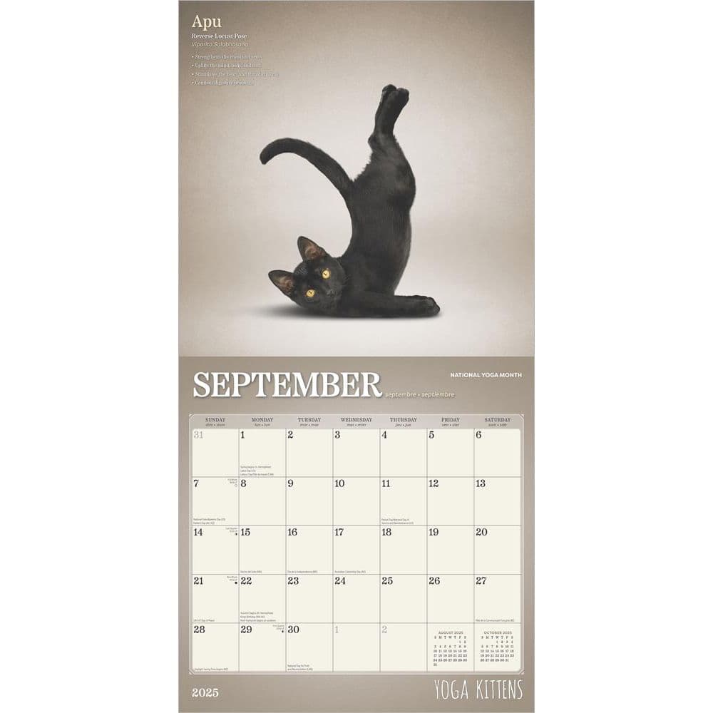 Yoga Kittens Plato 2025 Wall Calendar Third Alternate Image