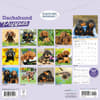 image Dachshund Puppies 2026 Wall Calendar First Alternate Image