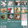 image What Cats Teach Us 2025 Wall Calendar First Alternate Image width=&quot;1000&quot; height=&quot;1000&quot;