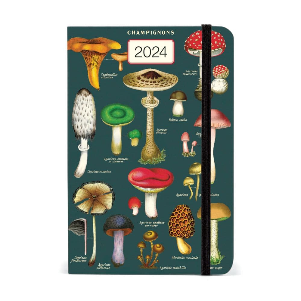 Mushrooms Weekly 2024 Planner