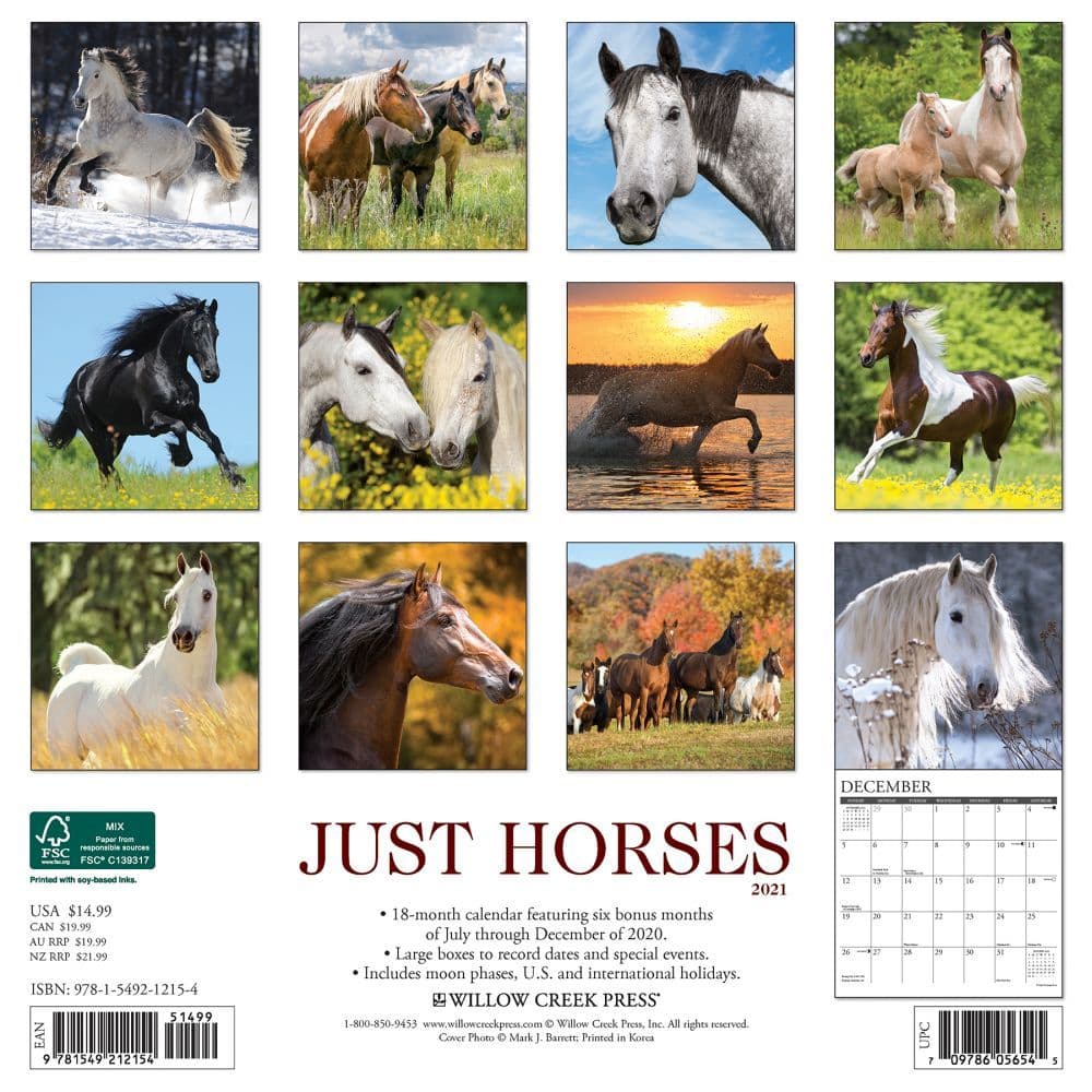 Horses Wall Calendar