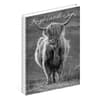 image Highland Cows 2026 Planner
