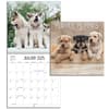 image Playful Puppies Photo 2025 Mini Wall Calendar