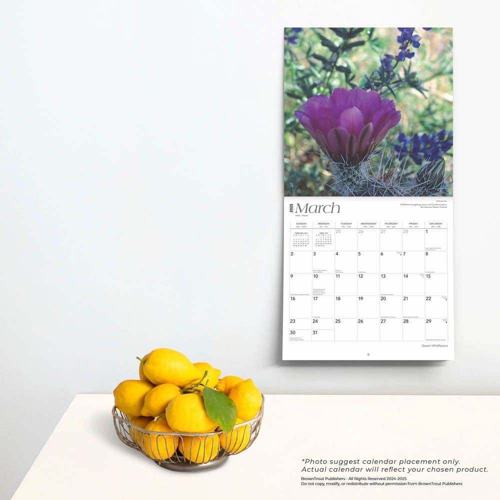 Desert Wildflowers 2025 Wall Calendar Fourth Alternate Image