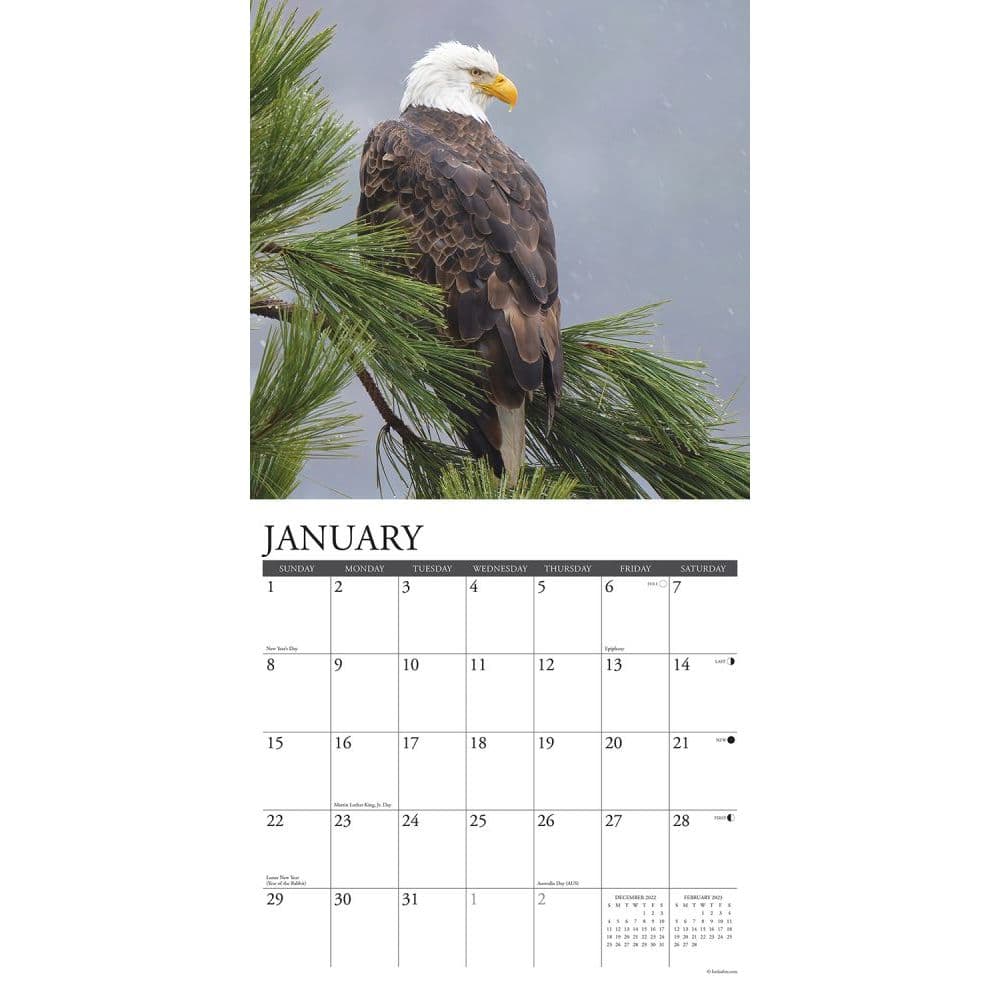 Eagles 2023 Calendar Eagles 2023 Wall Calendar - Calendars.com