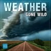 image Weather Gone Wild 2026 Wall Calendar Main Image