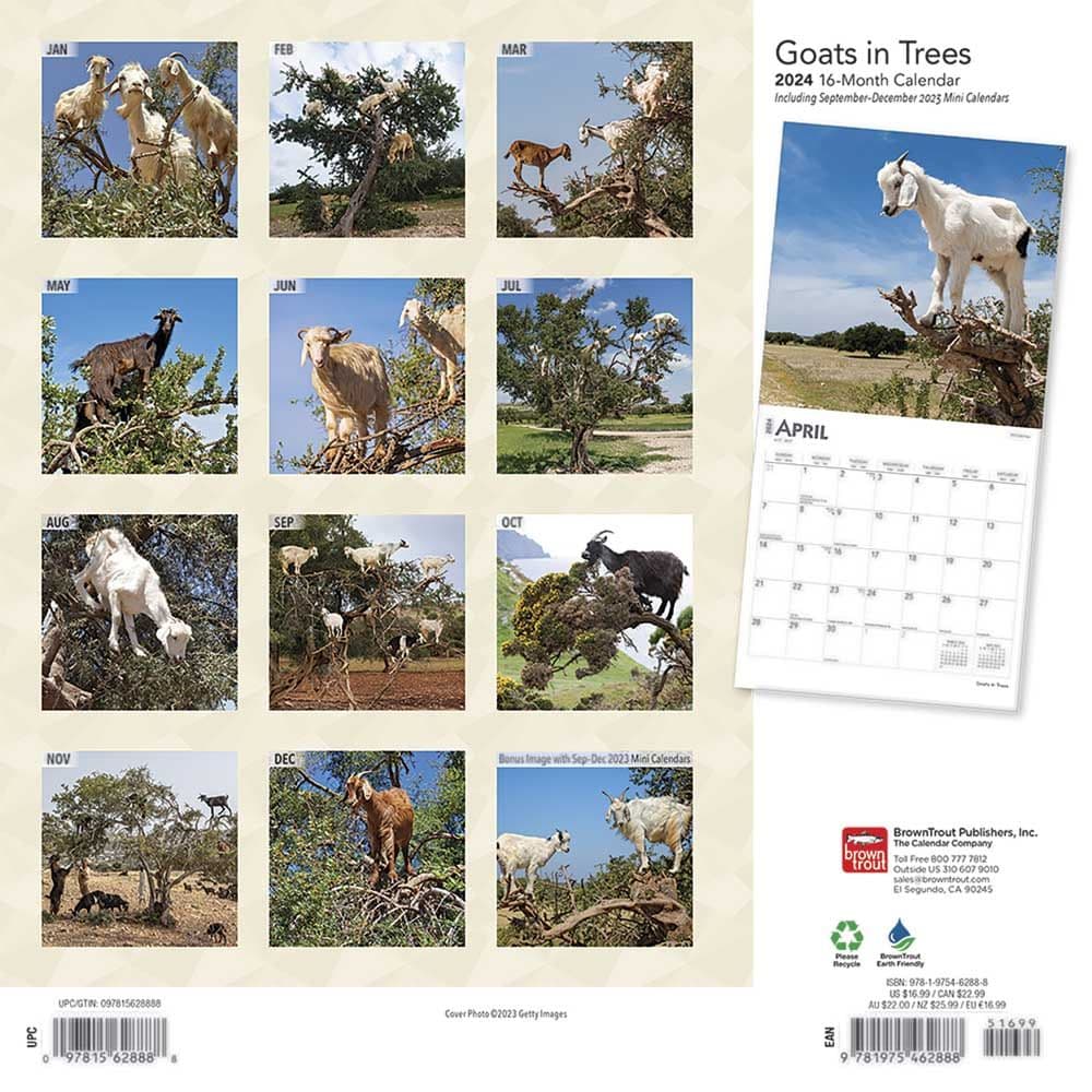 Goats in Trees 2024 Wall Calendar