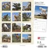 image Goats in Trees 2024 Wall Calendar Alternate Image 1