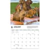 image Capybara WWF 2026 Wall Calendar Second Alternate Image