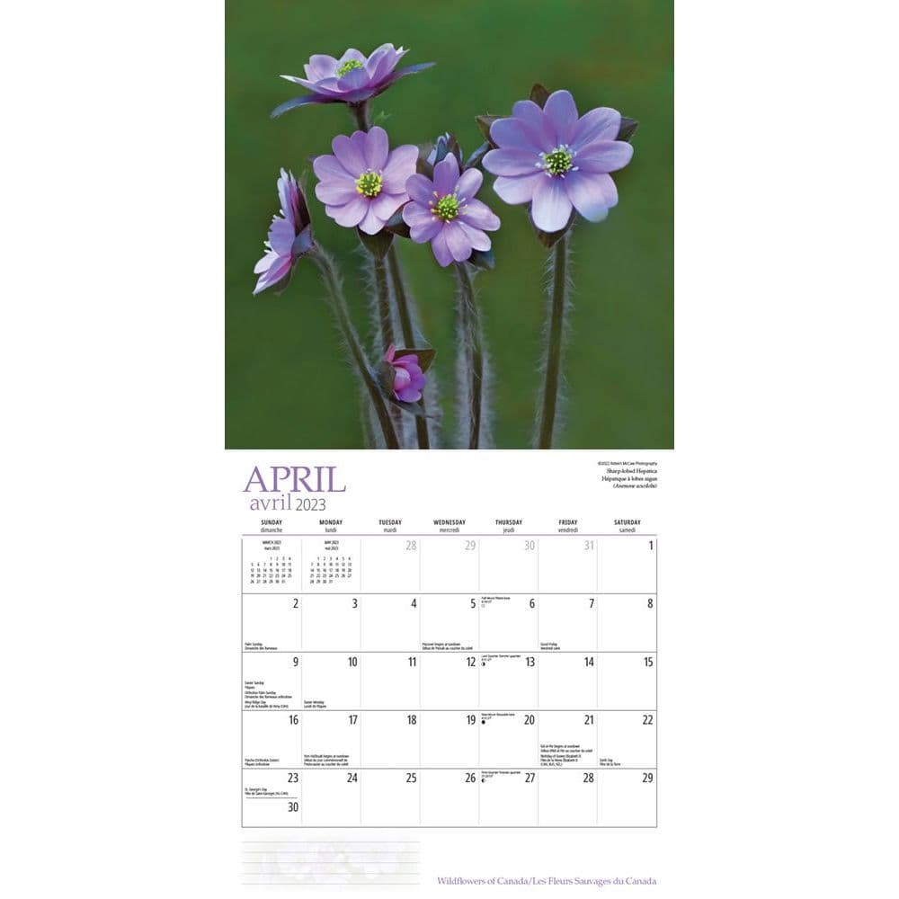 Calendrier Beaute 2023 Wildflowers 2023 Wall Calendar - Calendars.com