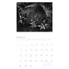 image Ansel Adams 2025 Wall Calendar Third Alternate Image