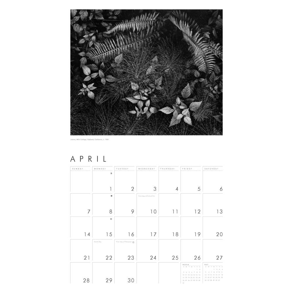 Ansel Adams 2025 Wall Calendar Third Alternate Image