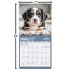 image Doodle Dogs Photo 2027 Wall Calendar