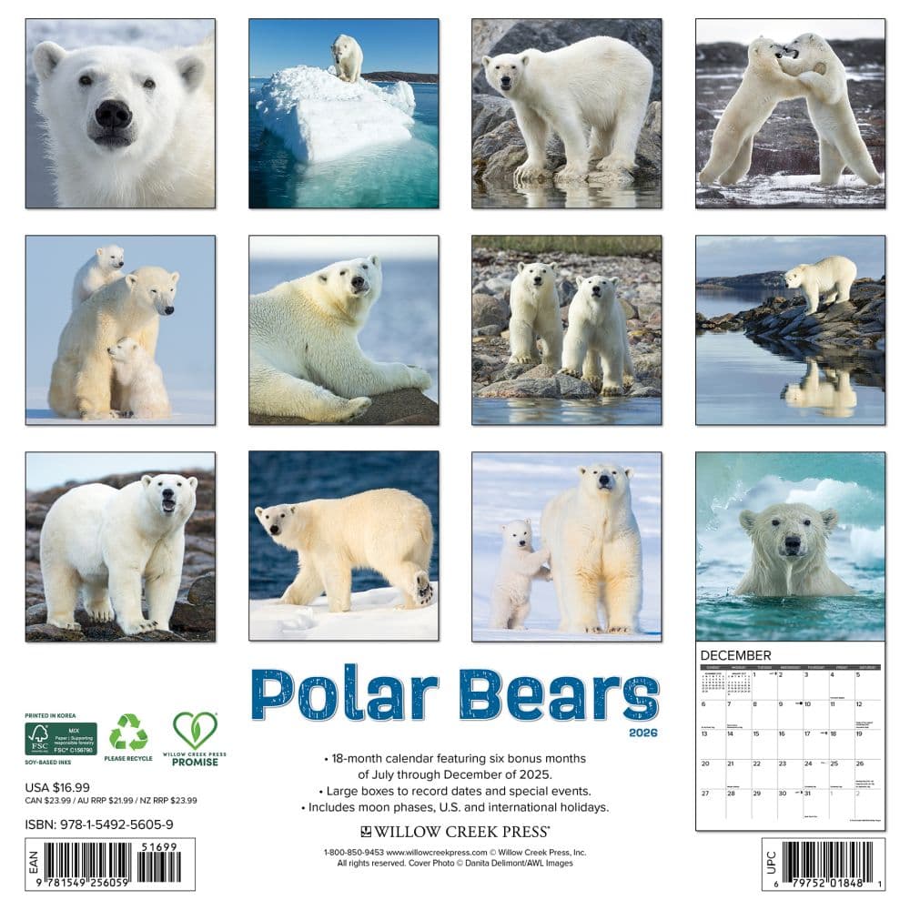 Polar Bears 2026 Wall Calendar First Alternate Image