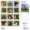 image Portuguese Water Dogs 2024 Wall Calendar First Alternate Image width=&quot;1000&quot; height=&quot;1000&quot;