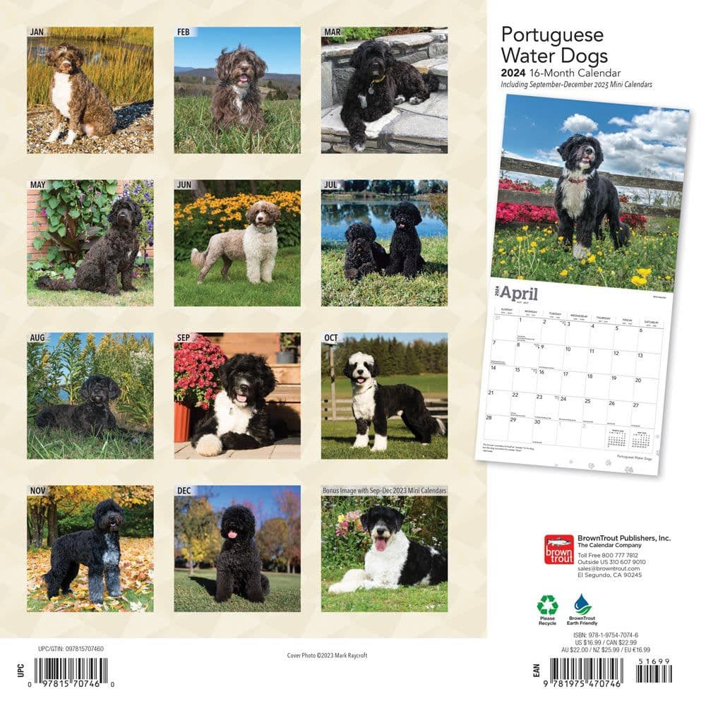 Portuguese Water Dogs 2024 Wall Calendar First Alternate Image width=&quot;1000&quot; height=&quot;1000&quot;