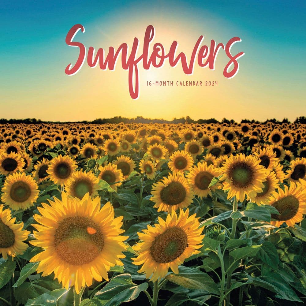 Sunflowers 2024 Wall Calendars Calendars Com   5d34319d 973c 44d7 A382 8f31e6d635d0