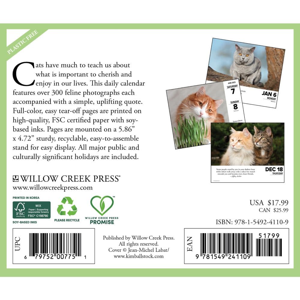 What Cats Teach Us 2025 Desk Calendar