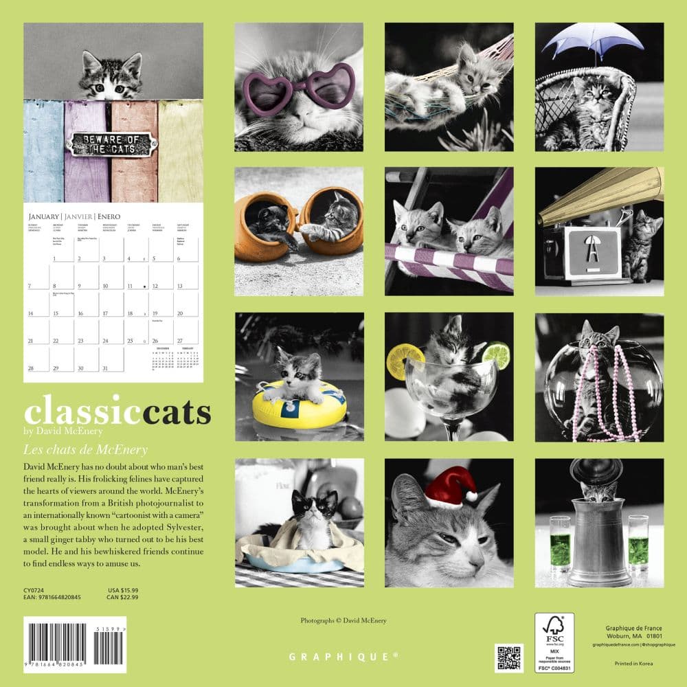Classic Cats 2024 Wall Calendar