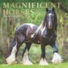 image Magnificent Horses Plato 2025 Wall Calendar Main Image