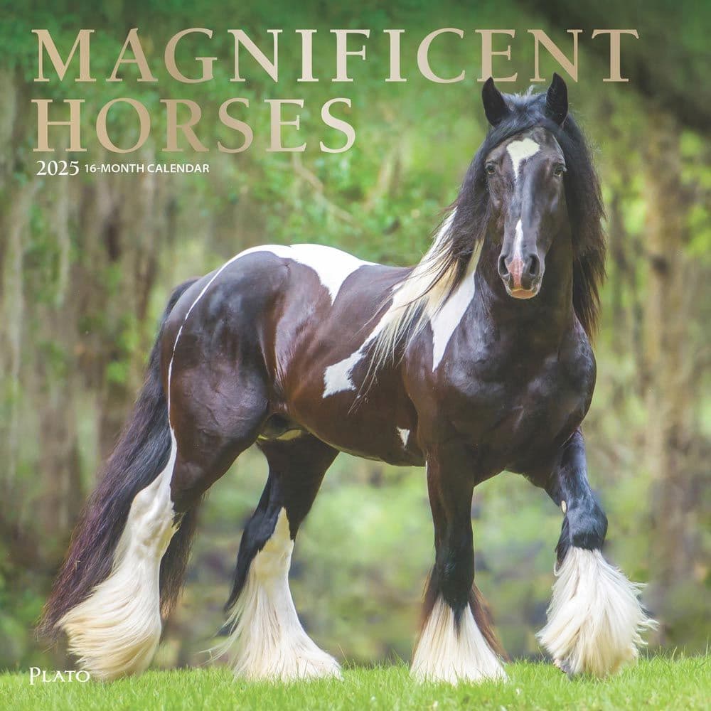 Magnificent Horses Plato 2025 Wall Calendar Main Image