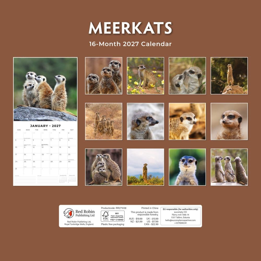 Meerkats 2027 Wall Calendar First Alternate Image
