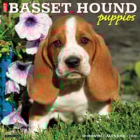 image Just Basset Hound Puppies 2026 Wall Calendar Main Image