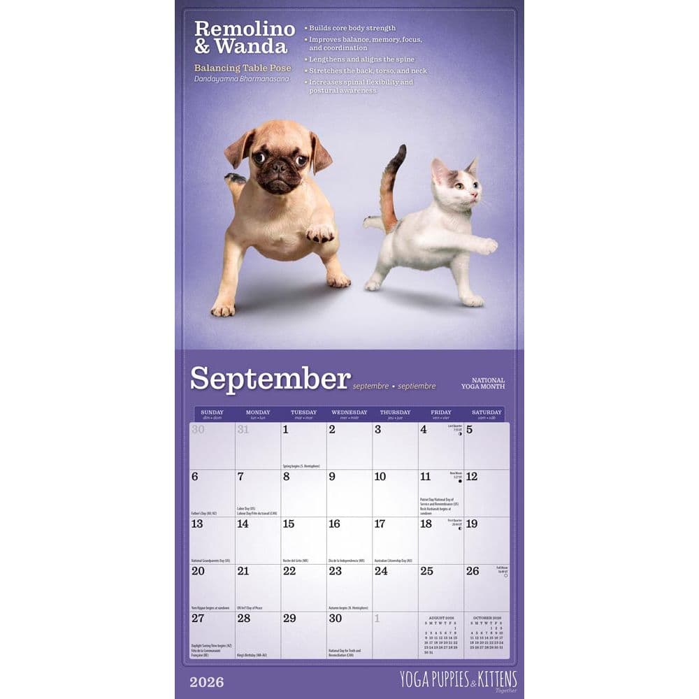 Yoga Puppies and Kittens 2026 Mini Wall Calendar Third Alternate Image