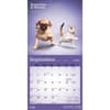 image Yoga Puppies and Kittens 2026 Mini Wall Calendar Third Alternate Image