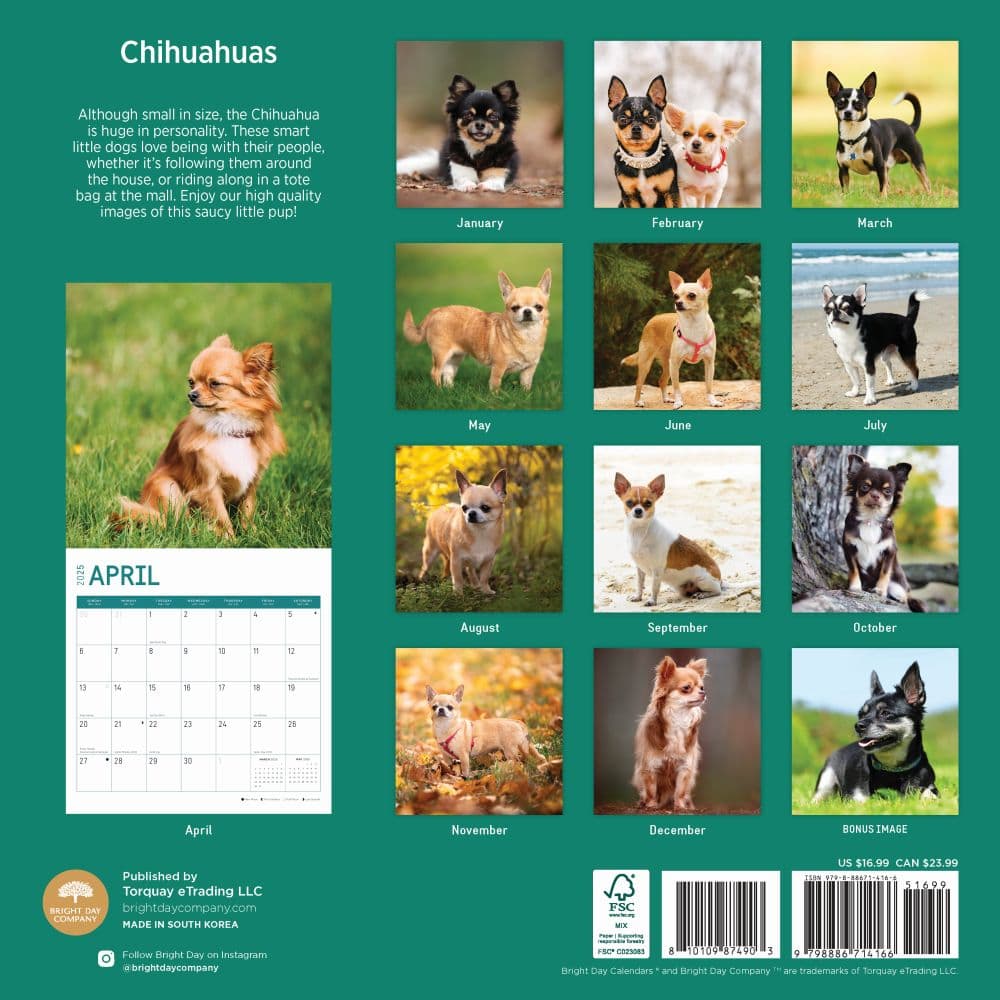 Chihuahuas 2025 Wall Calendar First Alternate Image