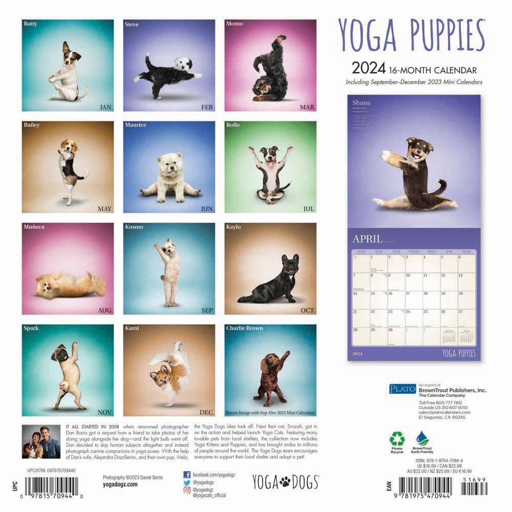 Yoga Puppies 2024 Wall Calendar First Alternate Image width=&quot;1000&quot; height=&quot;1000&quot;