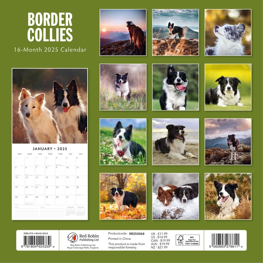 Border Collies 2025 Wall Calendar Alt1