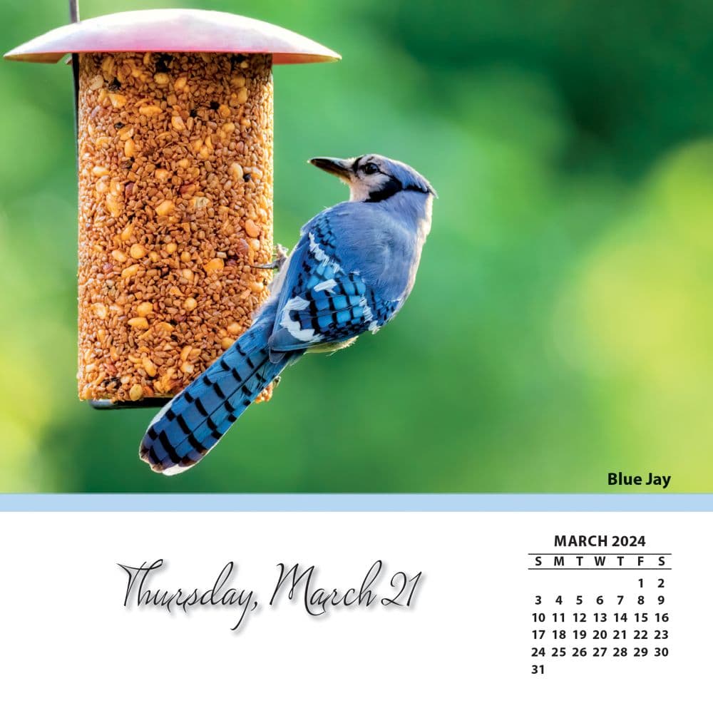 Songbirds 2024 Desk Calendar