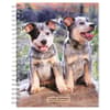 image Puppies 2024 Engagement Planner Main Product Image width=&quot;1000&quot; height=&quot;1000&quot;