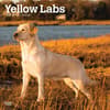 image Yellow Lab Retriever 2025 Wall Calendar front cover