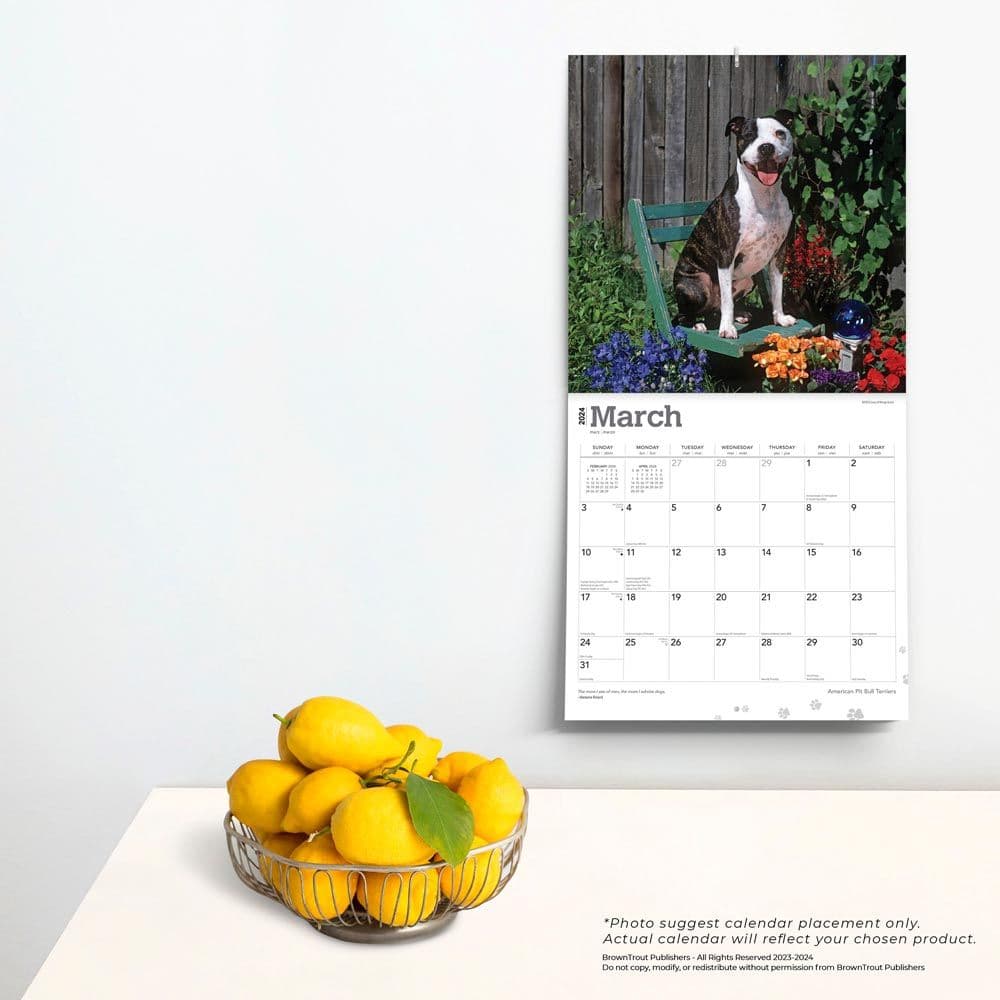 Pit Bull Terriers 2024 Wall Calendar