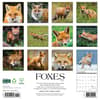 image Foxes 2025 Wall Calendar First Alternate Image width=&quot;1000&quot; height=&quot;1000&quot;