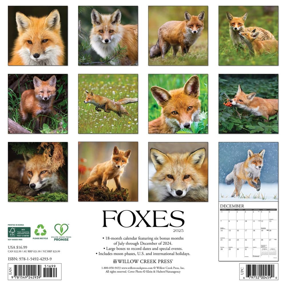 Foxes 2025 Wall Calendar First Alternate Image width=&quot;1000&quot; height=&quot;1000&quot;