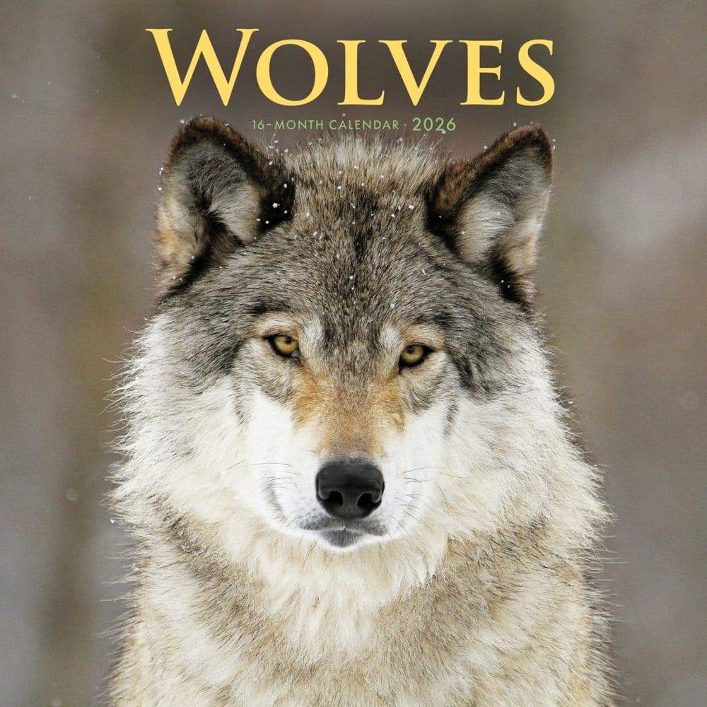 Wolves Special Value 2026 Wall Calendar Main Image