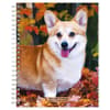 image Welsh Corgis 2024 Planner Main Product Image width=&quot;1000&quot; height=&quot;1000&quot;